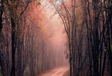 中超俱乐部最新排名榜是怎样的?各队表现背后有哪些故事?