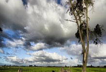 科尔多瓦对阵卡塔赫纳谁能赢?这场西乙对决有哪些关键看点?