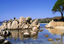 美职足排行榜是如何反映联赛竞争格局的?